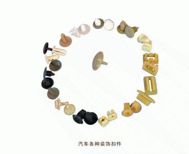 汽车装饰扣件
